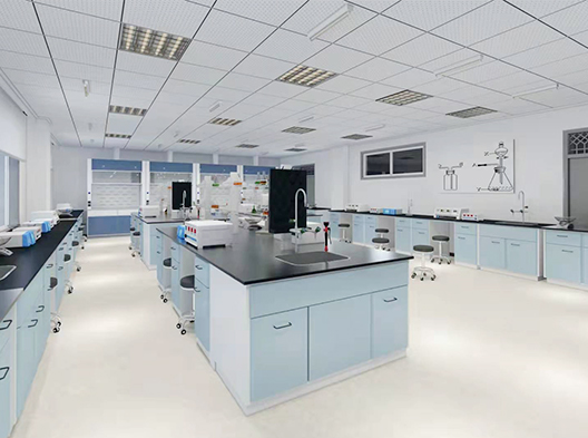 ����ʵ����